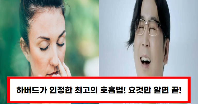 하버드가 인정한! 면역력 향상의 비밀, 최고의 호흡법