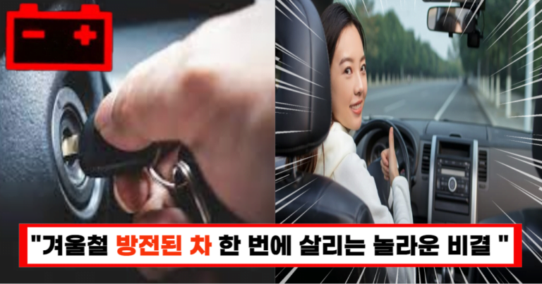 “죽은 차도 살려냅니다”긴급출동 20년 기능장 장인이 알려주는 배터리 방전 시동 거는 꿀팁