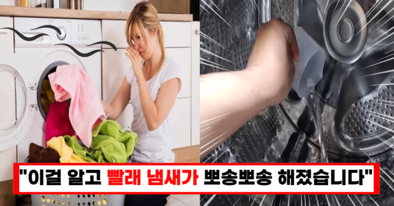 “시큼시큼한 냄새 1도 안납니다” 세탁소 사장님도 인정한 냄새 잡는 식초 비법