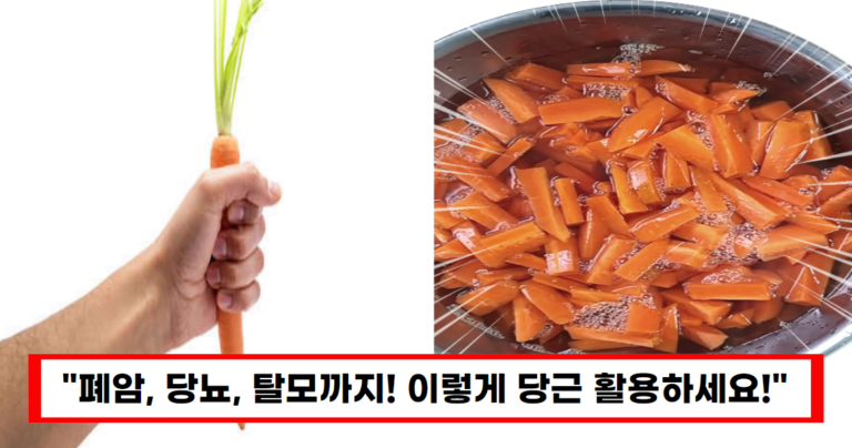“5분만에 만드는 초간단 당근 피클,이렇게 간단합니다”