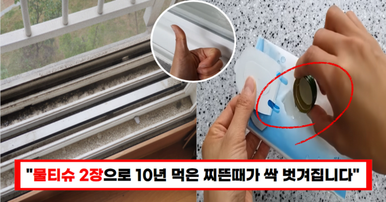 “물티슈 2장만으로 싹 지워집니다”20년 전업주부가 알려주는 더러운 창틀 제거법
