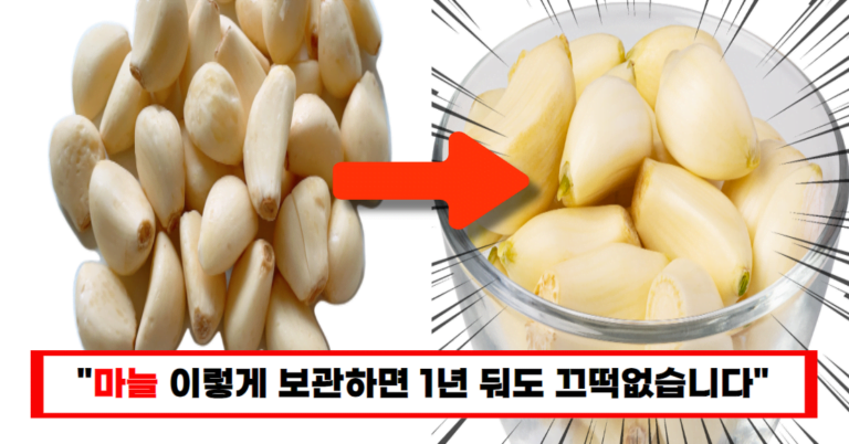“1년 내내 싱싱합니다” 썩지도 마르지도 않는 최고의 마늘 보관 방법