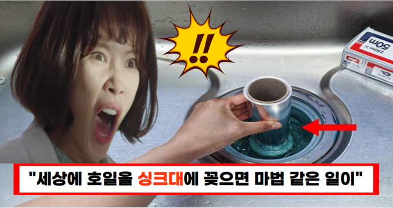 “포장할 때만 썼던 그것 이웃집까지 반했다고?”