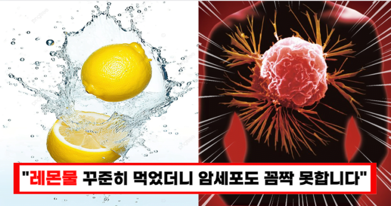 “레몬물 진정한 힘! 이렇게 마시면 건강이 좋아지고 암세포 다 때려 잡습니다!