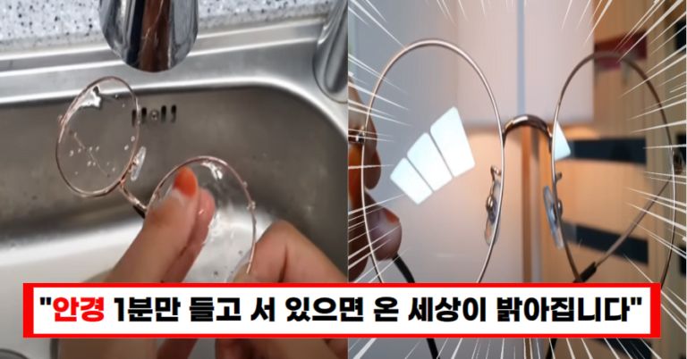 “1분이면 끝” 안경집 사장님도 사용하는 안경 청소 비법 공개(+세상이 밝아집니다)