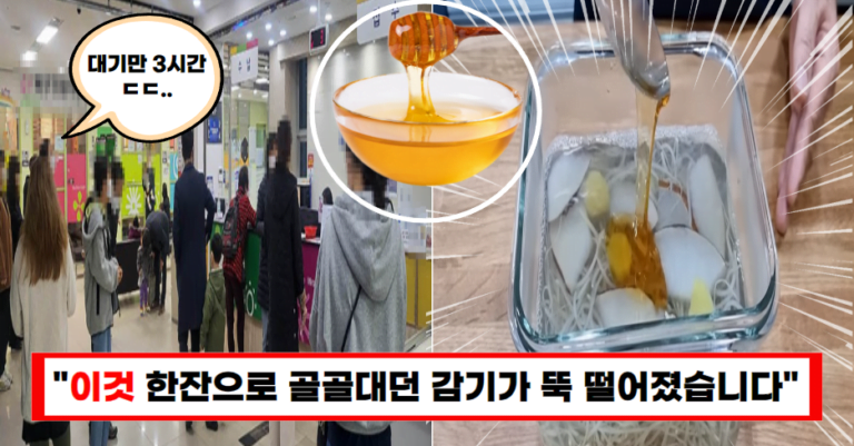 “매일 달고 살던 감기가 뚝 떨어졌습니다”감기 물리치는 효과 증명된 레시피(+면역력 UP)