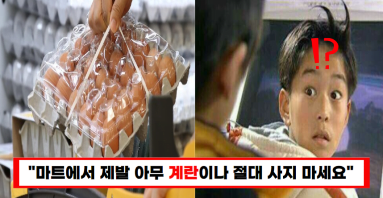 “평소에 이런 계란 샀다면 앞으로 사지 마세요”20년차 양계장 사장님이 알려주는 좋은 계란 고르는 방법(+보관 방법)