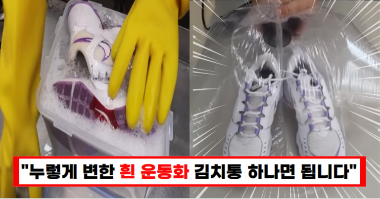 “더러운 운동화 세탁 1시간이면 충분합니다” 세탁소 사장님이 알려준 집에서도 쉽게 따라 할 수 있는 노하우