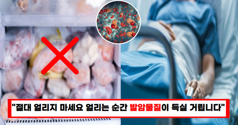 “냉동고에 이런 식품 있다면 당장 버리세요” 얼리는 순간 발암물질로 바뀝니다