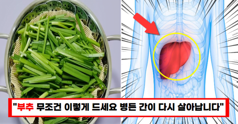 “부추 이렇게 먹으면” 항산화효능 10배 증가해, 죽어가던 간이 되살아납니다!