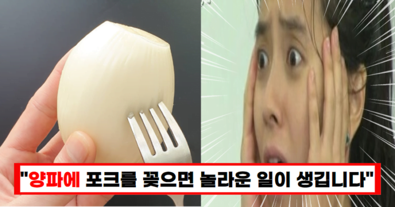 “양파 이제 칼로 썰지 마세요” 포크만 있으면 세상 편해집니다!
