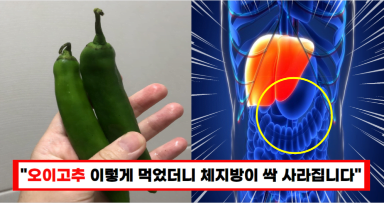 “매일 오이고추 먹었더니, 뱃살도 빠지고 묵은 숙변이 쏟아집니다”