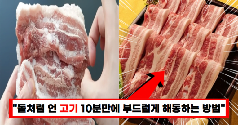 “꽝꽝 언 냉동고기도 생고기처럼 부드러워집니다” 10분에 초스피드로 해동하는 방법
