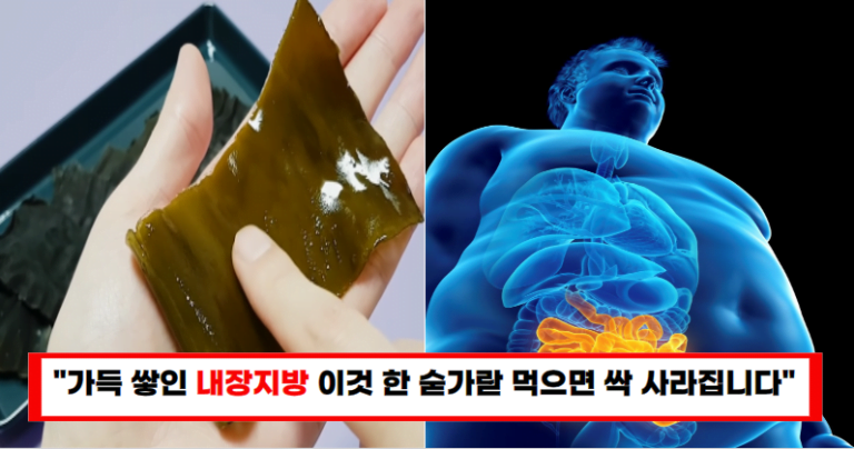 “중년 내장지방 뱃살 하루 두 번 식사 후 이것 한 숟가락 먹으면 내장지방이 싹 사라집니다”