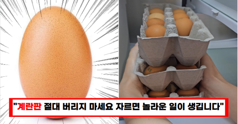 “달걀판 보이면 무조건 자르세요”우리집 공간을 줄여줍니다!(여태 몰랐던 5가지 꿀팁)