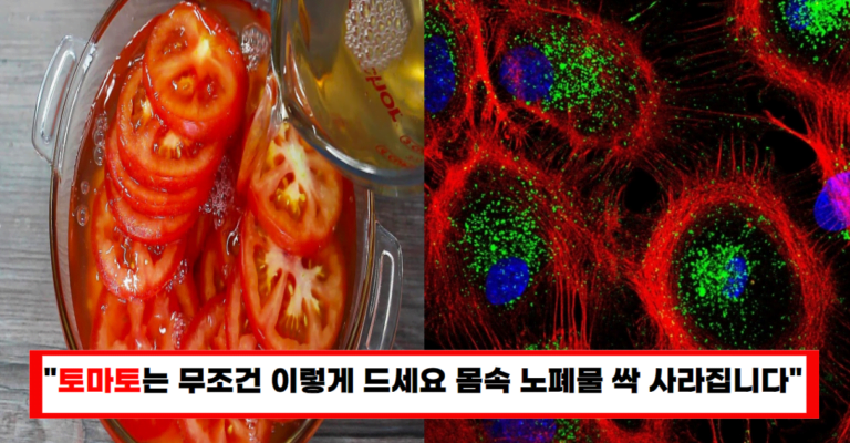 “암 예방부터 콜레스테롤 까지! 꼭 알아둬야 할 토마토 식초 레시피”