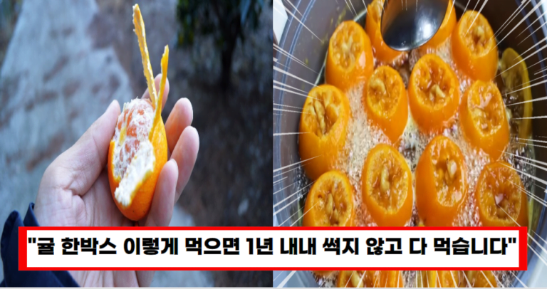 “귤 무조건 이렇게 드세요” 까먹지 않고 귤 10 더 맛있게 즐길 수 있는 레시피