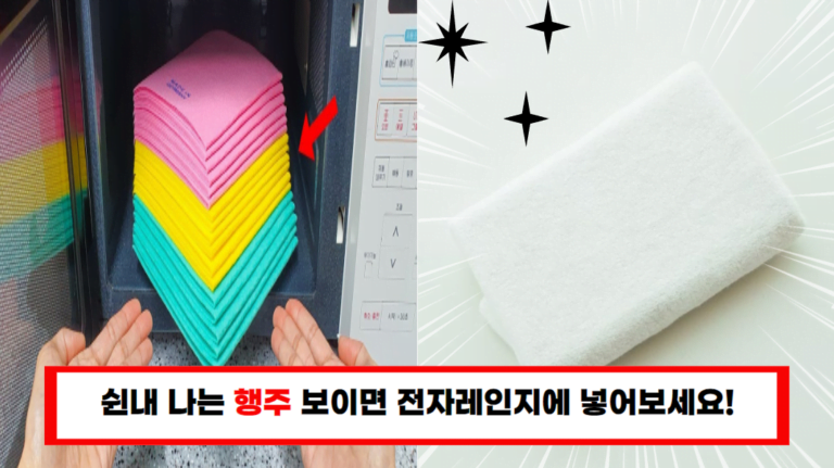 행주를 전자렌지에 넣고 돌렸더니.. 모두가 깜짝 놀랍니다