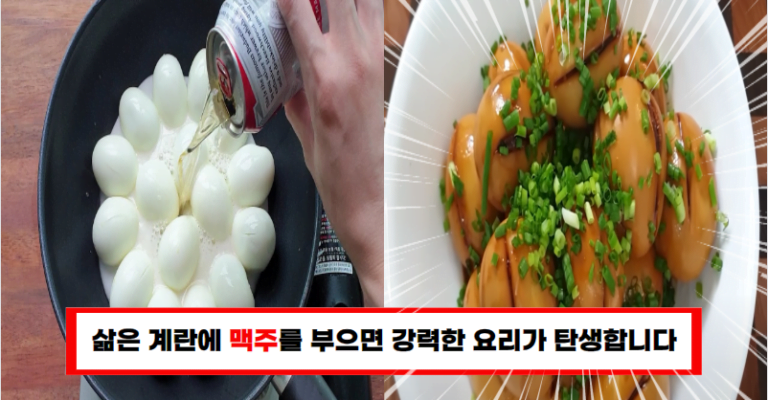“계란 이렇게 해 보세요. 너무 간단해서 매 끼니를 이렇게 해 먹습니다”