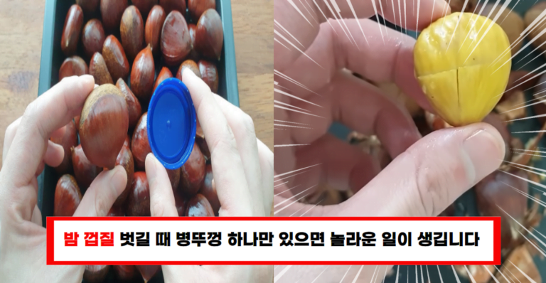 “병뚜껑 하나면 됩니다” 단단한 밤이 귤처럼 쉽게 까지는 놀라운 방법(+3가지)
