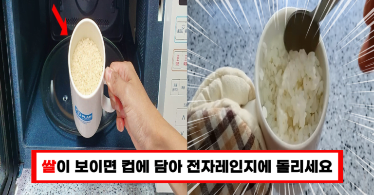 “1인가구 혼밥 혼족을 위한 전자렌지로 찰진밥 10분 만에 만드는 방법”