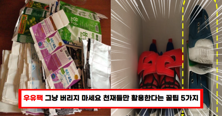 “우유팩 그냥 버리지 마세요! 알고보면 집안살림 끝판왕 재활용품입니다”