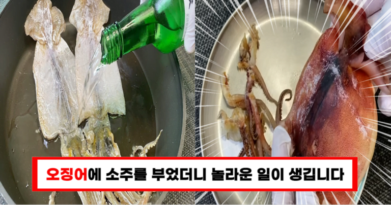 “이제부터 오징어가 보이면 소주를 부어주세요 오징어가 부드럽고 쫀득해집니다”