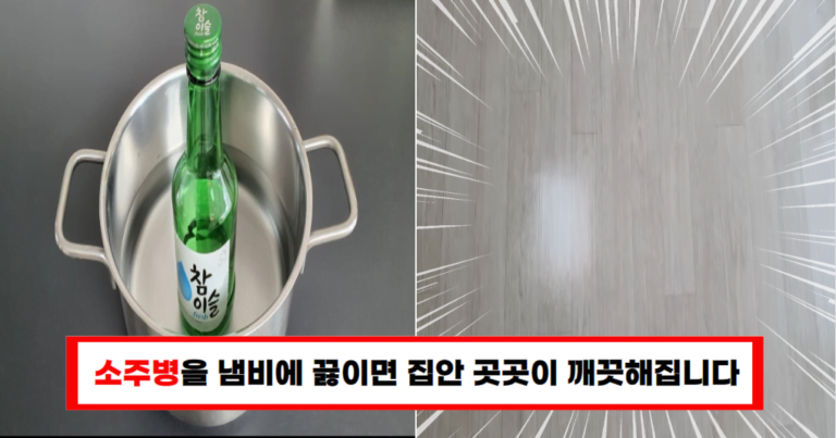 소주병 냄비로 끓였더니, 아주 강력한 세제가 된다는 사실을 알아냈습니다