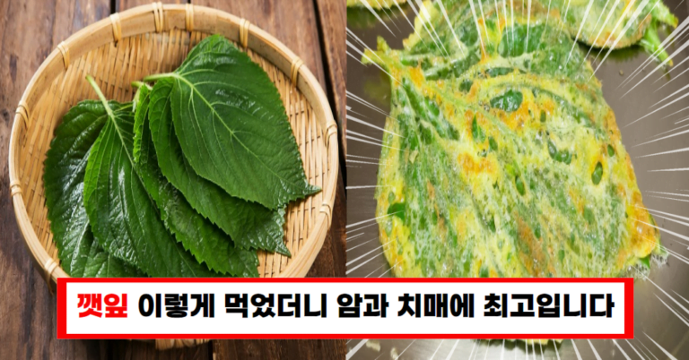 치매와 암 예방의 최고 푸드 – 깻잎전 레시피 공개!