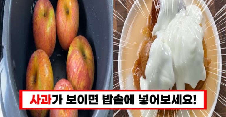 사과를 밥솥에 당장 담아주세요! 놀랍도록 맛있는 요리가 만들어집니다.