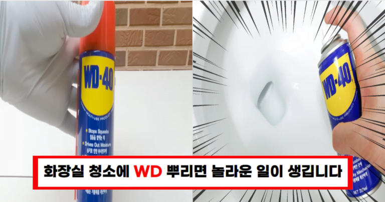 “WD 뿌리고 문지르면 끝납니다” 세탁, 욕실제거에 이만한 물건 없습니다!
