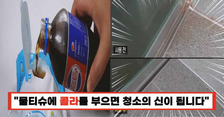 “20년차 전업주부 우리 엄마도 놀랐습니다”물티슈에 콜라를 부으면 놀라운 일이 생깁니다!