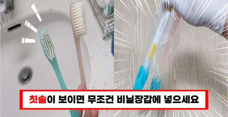 칫솔 절대 버리지 마세요! 알뜰살뜰 집에서 말도 안 되는 칫솔 활용법(+4가지)
