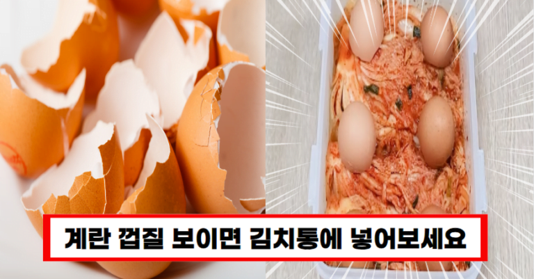 계란껍질의 놀라운 활용법, 알고보면 놀랍다! 절대 버리지 마세요!