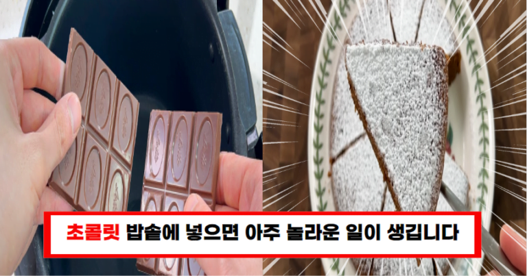 “초콜릿 보이면 무조건 밥솥에 넣어보세요” 생일 케익 살 필요없이 맛있는 케익이 완성됩니다