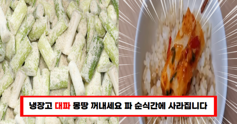 “냉장고 대파 무조건 이렇게 드세요” 배부르게 먹어도 살도 안찝니다