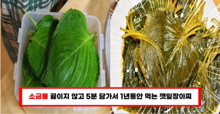 “누구나 쉽게 따라 할 수 있는 깻잎 삭히는 법” 1년 내내 먹습니다!