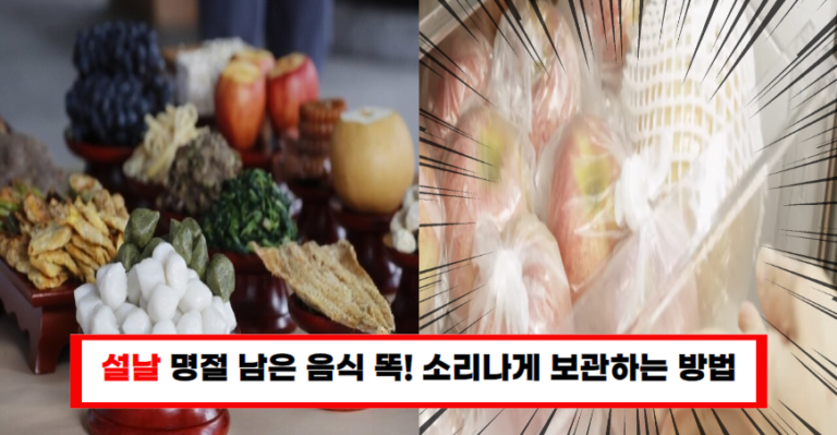 “산더미처럼 남은 명절 음식 이렇게 보관하면 맛도 기간도 유지됩니다”