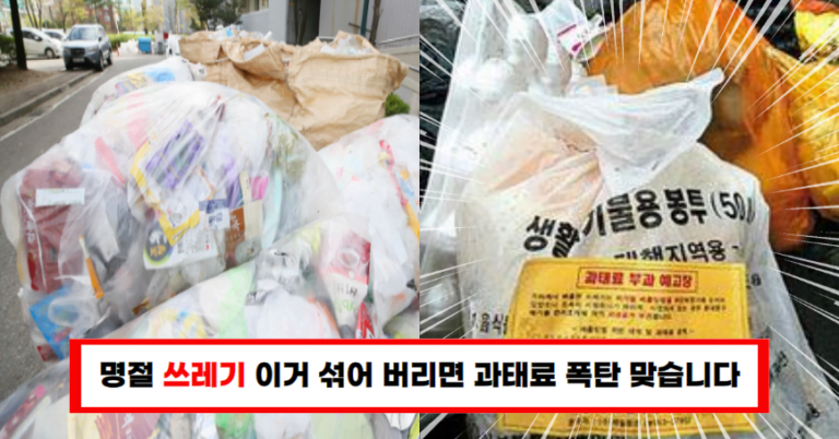 설날 연휴 쓰레기 관리 비상 분리배출 제대로 안하면 과태료 100만원 폭탄 맞습니다!