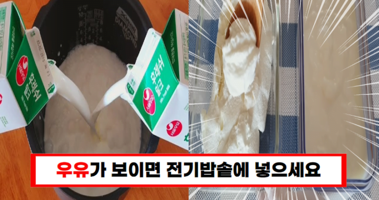 “예전 엄마가 해주시던 그 맛! 전기밥솥으로 요거트 만드는 방법”