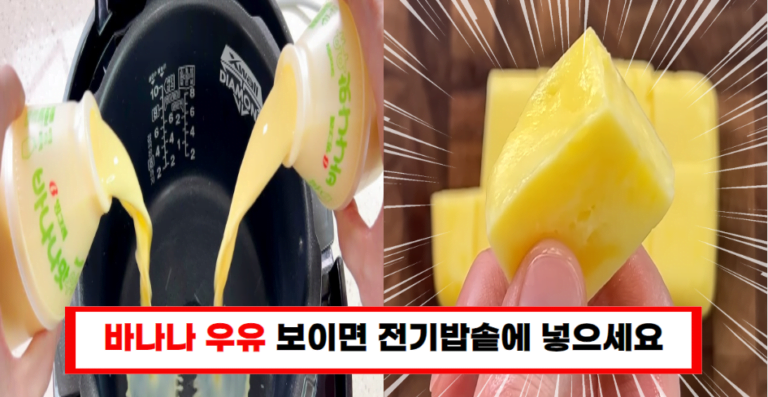 바나나우유 전기밥솥에 넣었더니 엄청 부드러운 디저트 2개가 탄생했습니다.