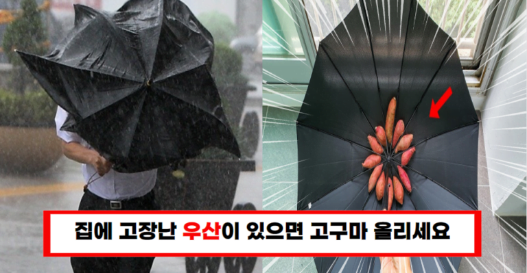 “우산 버리지 마세요! 창의적 재활용법으로 환경도 지킵니다”