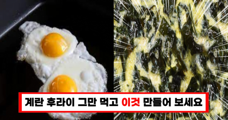 계란후라이 이제 그만! 변비까지 해결하는 미역계란찜 레시피