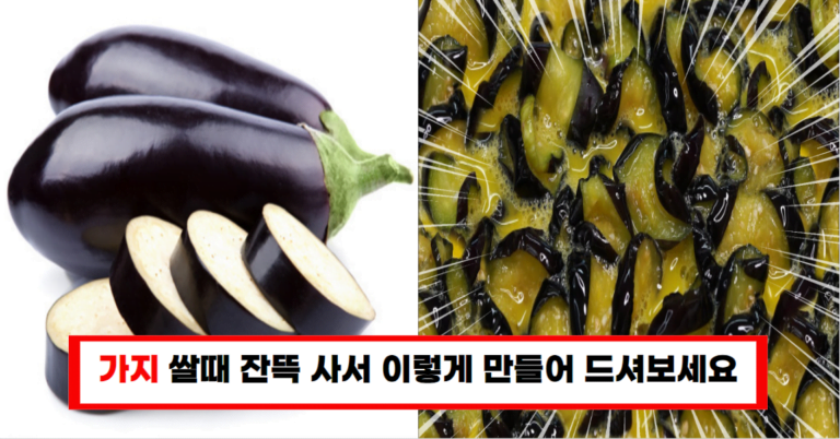 가지 많이 사서 이렇게 만들어보세요. 맛이 너무 좋아서 또 사러 가게 됩니다.