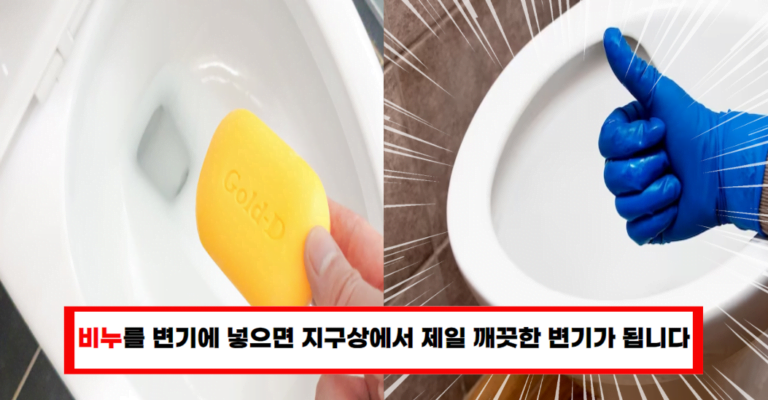 “변기에 비누를 넣으면 놀라운 일이 생깁니다”