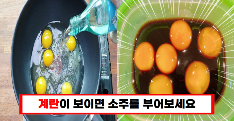“날계란에 소주를 부으니 순식간에 맛있는 음식이 됩니다”