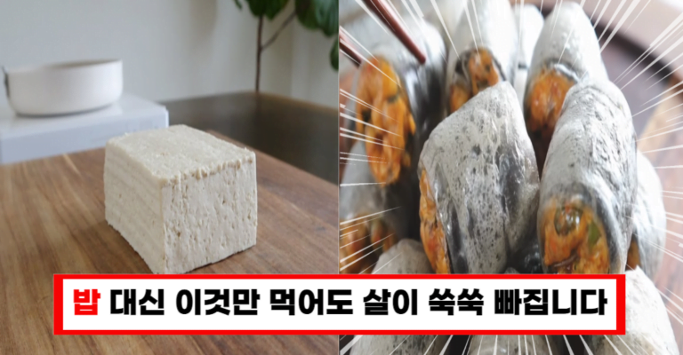 “탄수화물 줄이고 단백질 업! 이 김말이 하나면 하루 한끼로 든든합니다”