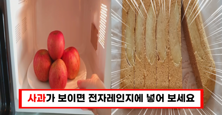 “급찐살 원인인 아침밥, 사과로 대체하세요! 놀라운 결과 보장”