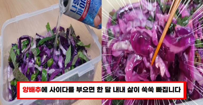 양배추에 사이다를 부으면 순식간에 맛있는 요리가 완성됩니다!