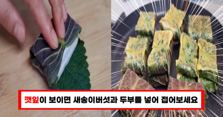 단백질 폭탄 고기보다 맛있는 깻잎과 새송이 버섯 이렇게 드세요!